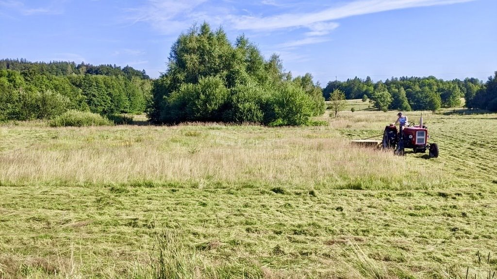 Działka budowlana na sprzedaż Świeradów-Zdrój, Długa  2 000m2 Foto 6