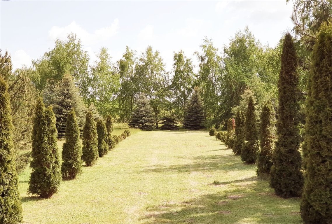 Lokal użytkowy na sprzedaż Teresin, Teresin  1 390m2 Foto 4