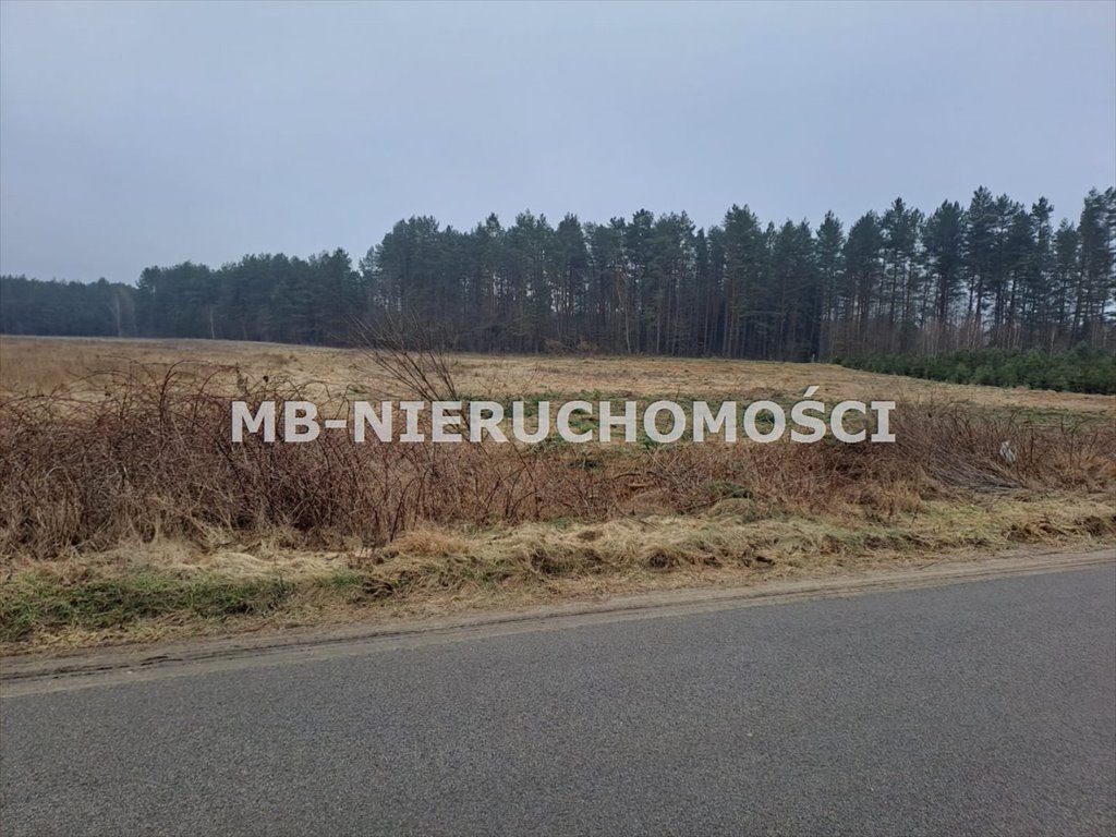 Działka budowlana na sprzedaż Woryty  1 001m2 Foto 1