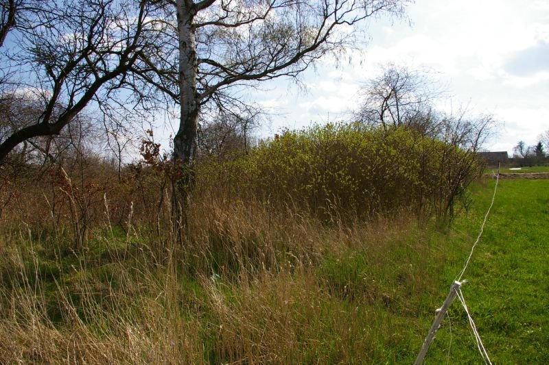 Działka budowlana na sprzedaż Kopań, Kopań  3 500m2 Foto 11