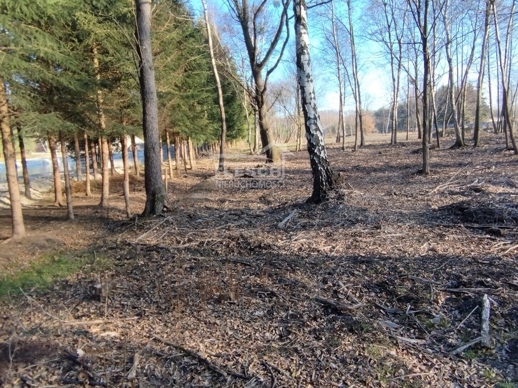 Działka budowlana na sprzedaż Mościska  8 302m2 Foto 1