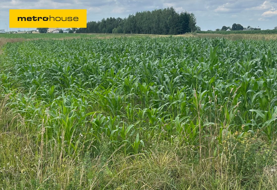 Działka inna na sprzedaż Karwacz  2 000m2 Foto 1