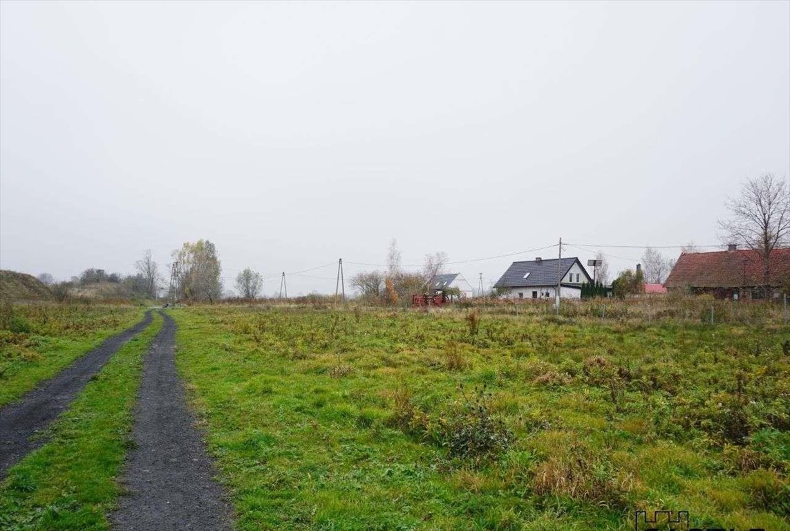 Działka rolna na sprzedaż Bronowo  3 000m2 Foto 4