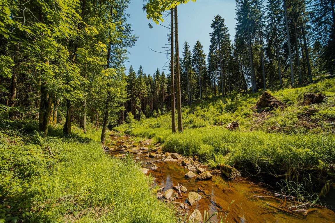 Działki przy Parku Gór Stołowych, blisko miasta, potok Szczytna, Działki budowlane przy Parku Narodowym Gór Stołowych  800m2 Foto 1