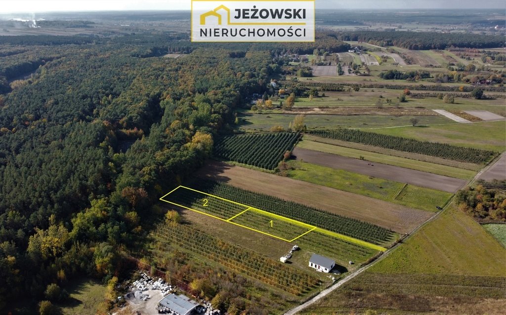 Działka inna na sprzedaż Kazimierz Dolny, Cholewianka  1 500m2 Foto 3