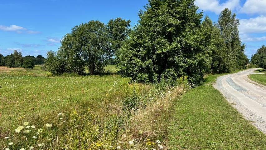 Działka budowlana na sprzedaż Budzistowo, Stare Miasto  2 387m2 Foto 8