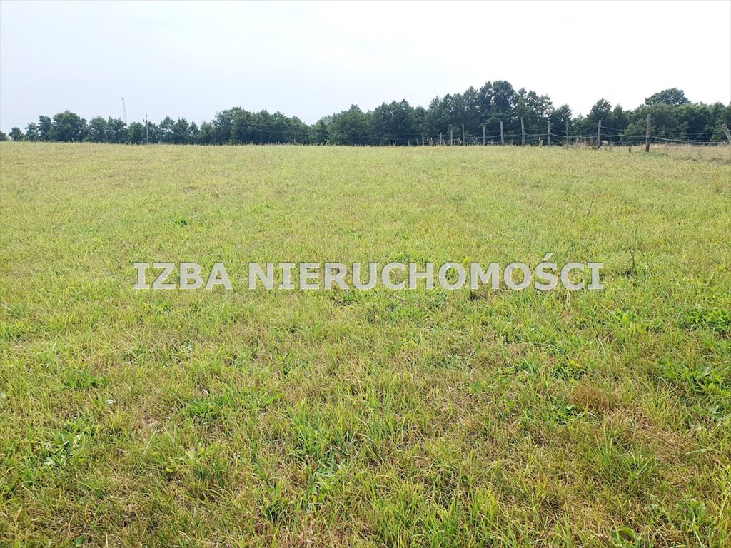 Działka rekreacyjna na sprzedaż Grabnik  3 400m2 Foto 8