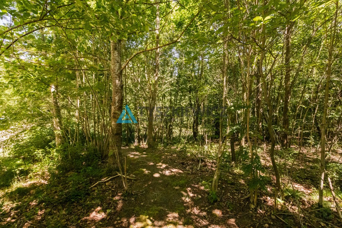 Działka budowlana na sprzedaż Chłapowo, Ks. Wiesława Wetta  3 241m2 Foto 12