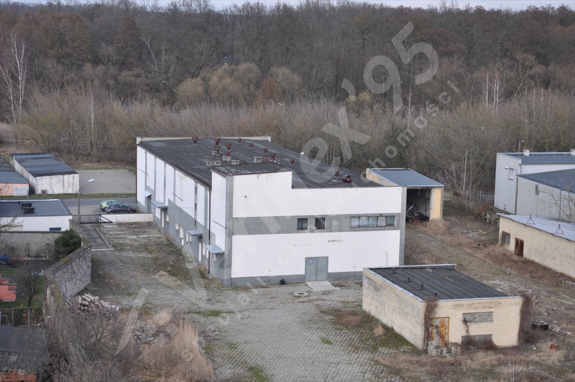 Lokal użytkowy na sprzedaż Góra  2 100m2 Foto 1