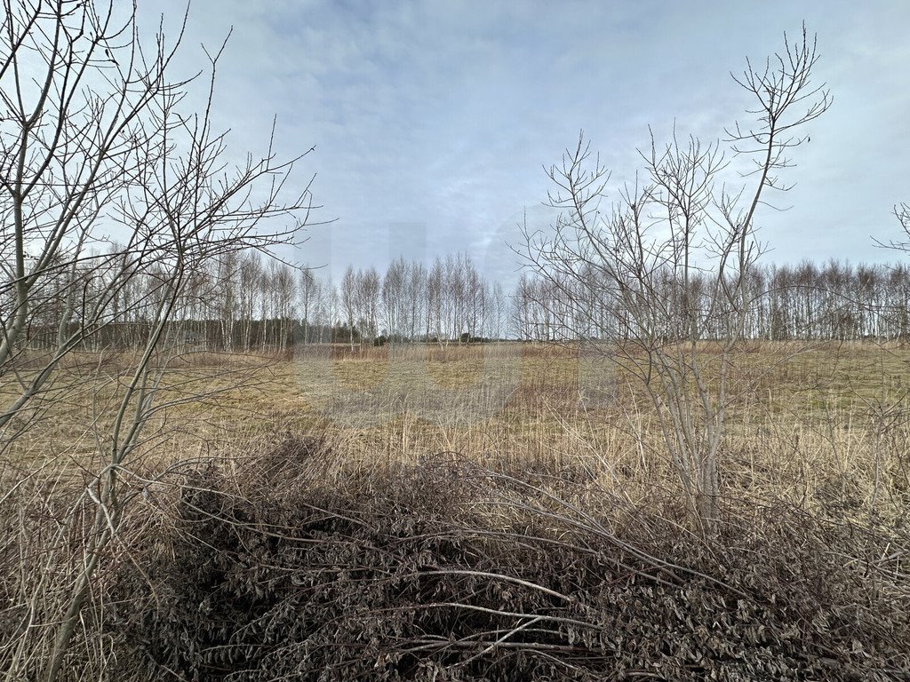 Działka budowlana na sprzedaż Klepaczka  830m2 Foto 2