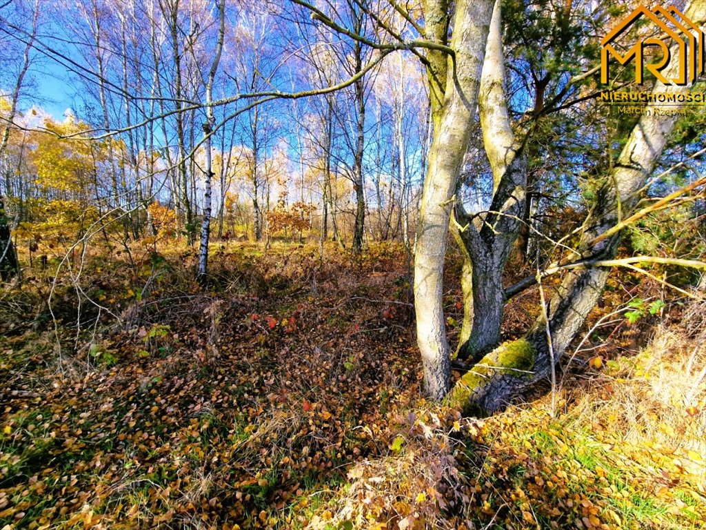 Działka inna na sprzedaż Pogórska Wola  2 389m2 Foto 9