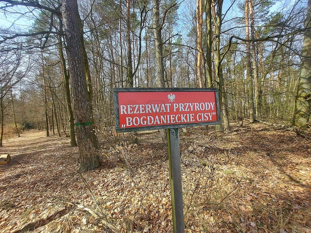 Działka budowlana na sprzedaż Baczyna  1 741m2 Foto 17