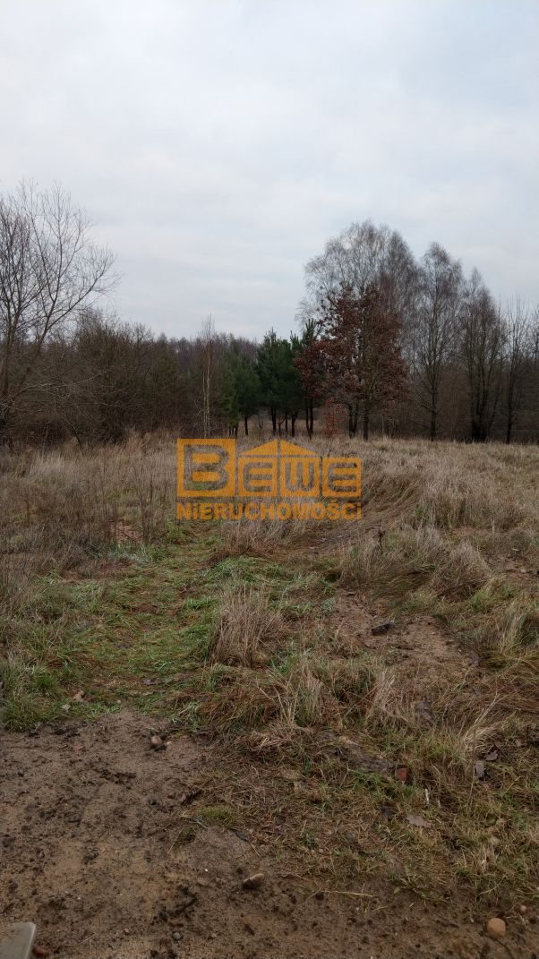 Działka budowlana na sprzedaż Skrybicze  1 362m2 Foto 4