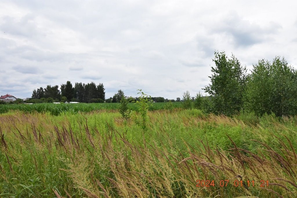 Działka budowlana na sprzedaż Syców, Ferdynanda Ruszczyca  5 041m2 Foto 4