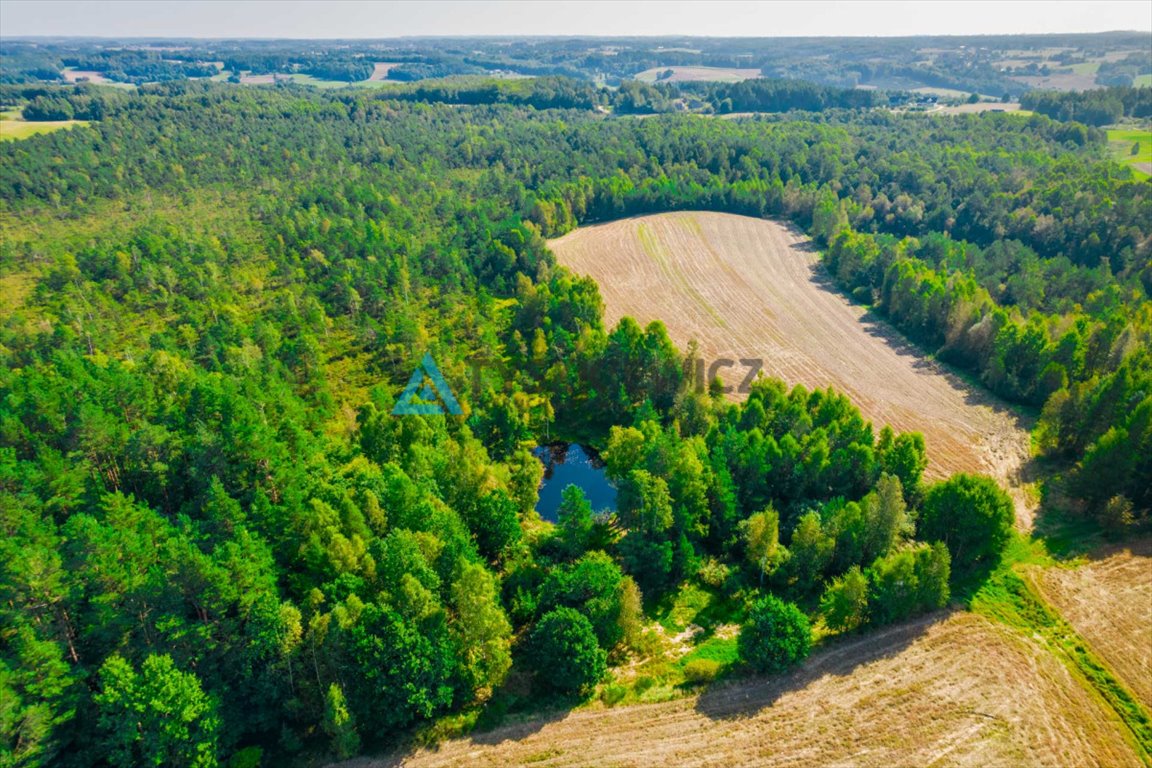 Działka leśna na sprzedaż Staniszewo  7 300m2 Foto 9