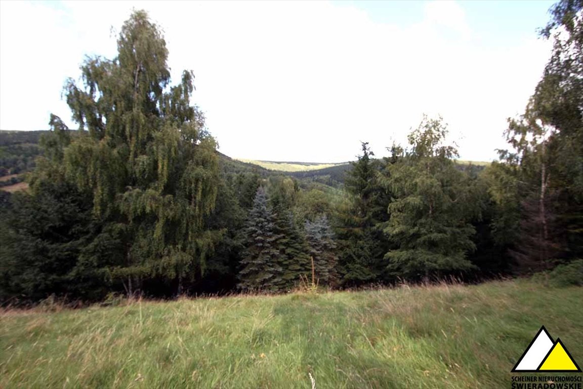 Działka z widokiem na góry i dużym domem w Świeradowie Świeradów-Zdrój  9 688m2 Foto 1