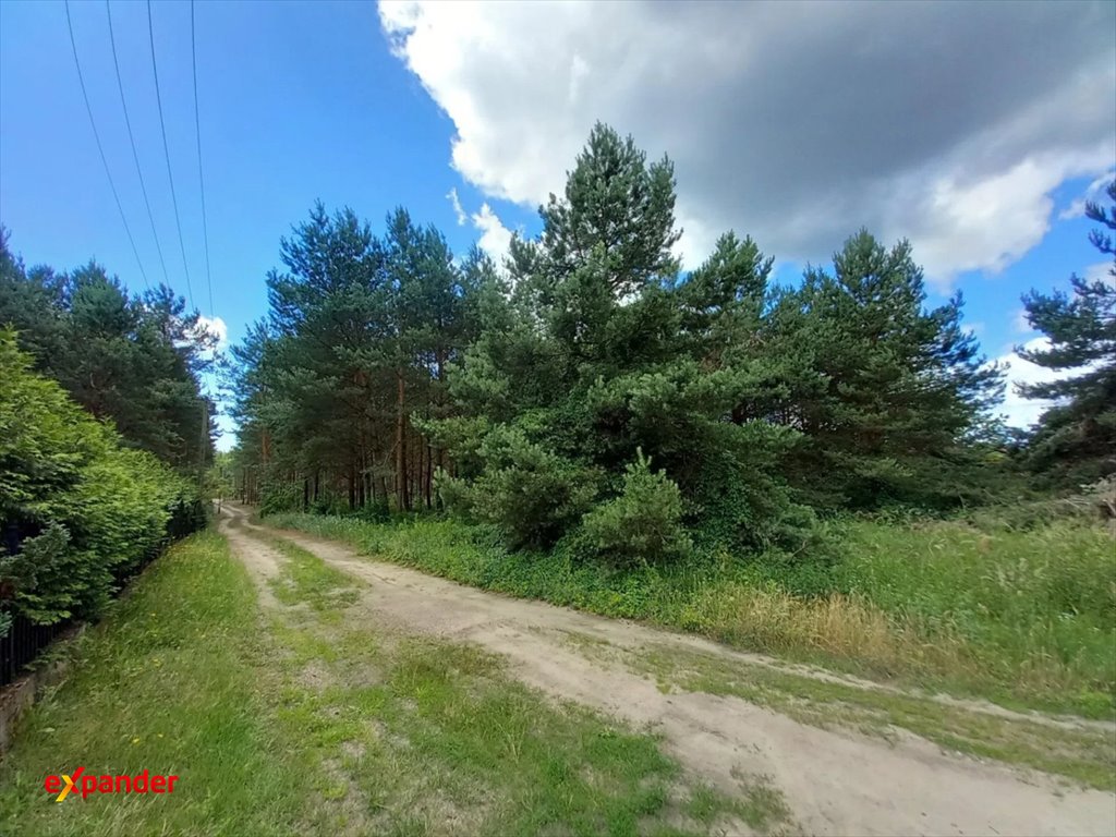 Zapraszam do zakupu działki 1069 m² pod dom w Sąsiecznie Sąsieczno, Polna  1 069m2 Foto 1