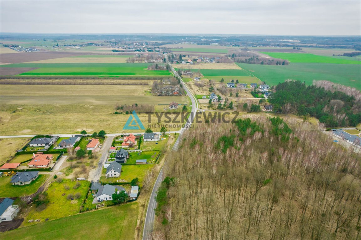 Działka budowlana na sprzedaż Głobino  6 400m2 Foto 5