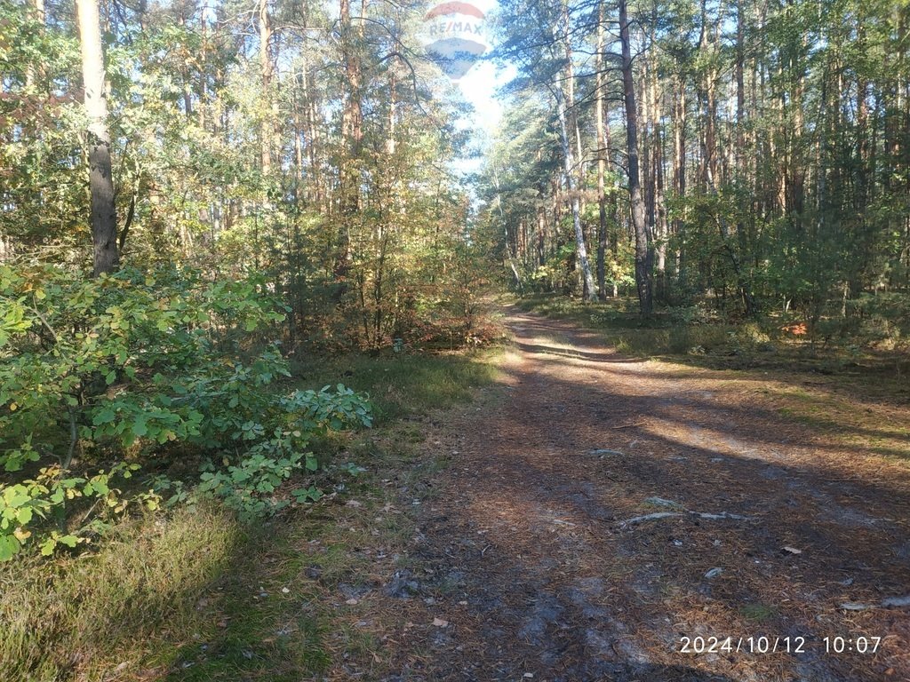 Działka budowlana na sprzedaż Otwock, Soplicowo, Protazego  4 593m2 Foto 1