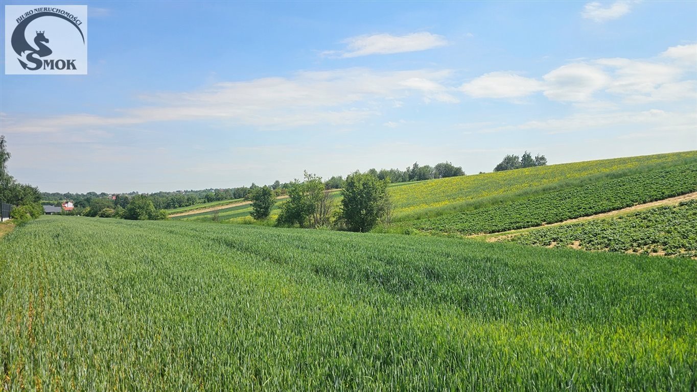 Działka 42a z pozwoleniem na nowoczesny dom i budynek gospodarczy - polecam! Cianowice Duże  4 200m2 Foto 1