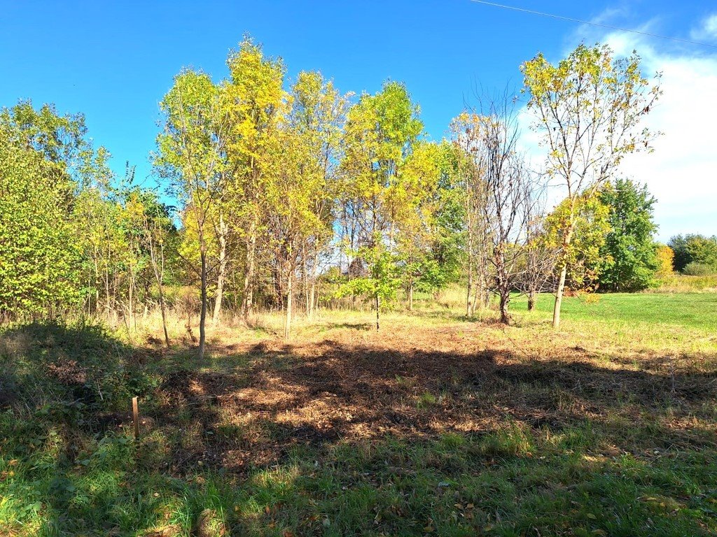 Działka budowlana na sprzedaż Firlej, Działkowa  1 501m2 Foto 1