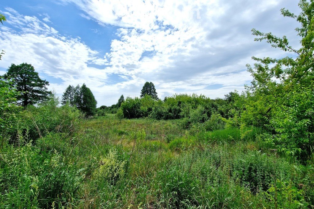 Działka inna na sprzedaż Biała Podlaska  23 000m2 Foto 1