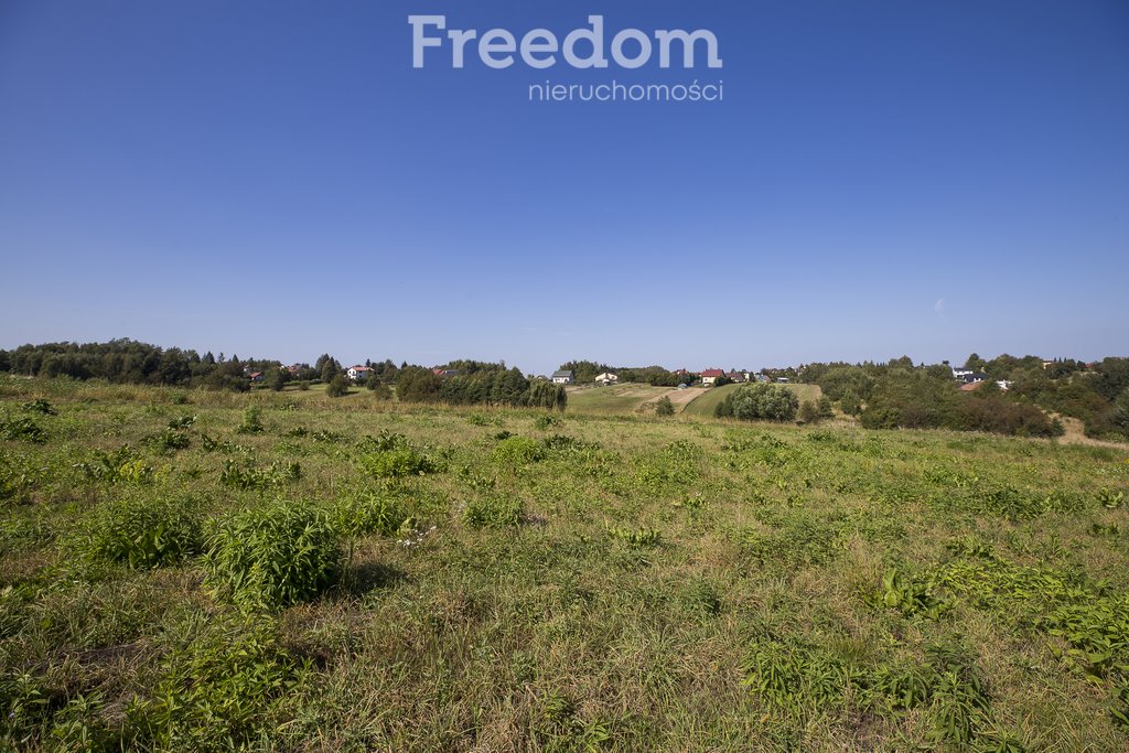 Działka budowlana na sprzedaż Kielanówka  5 500m2 Foto 8