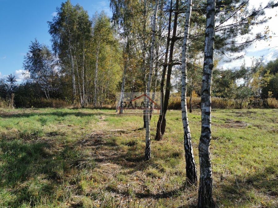 Działka budowlana na sprzedaż Stefanówka  1 100m2 Foto 2