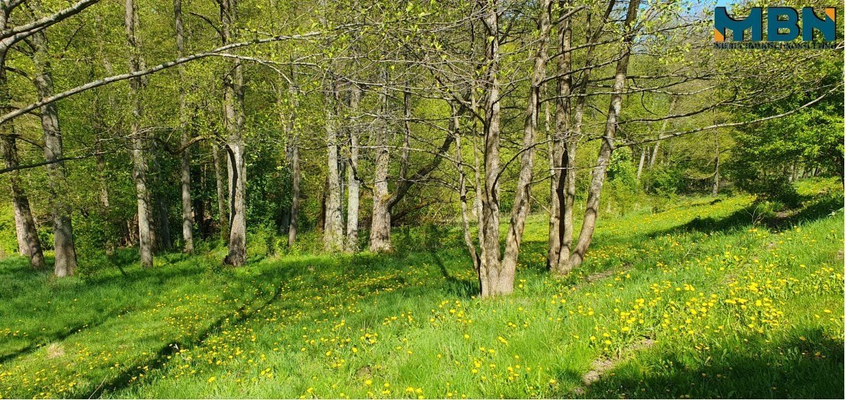 Dom na sprzedaż Nakomiady, Nakomiady  340m2 Foto 16