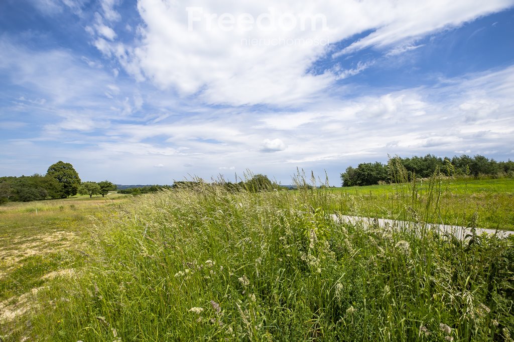 Działka budowlana na sprzedaż Wielopole Skrzyńskie  12 400m2 Foto 12