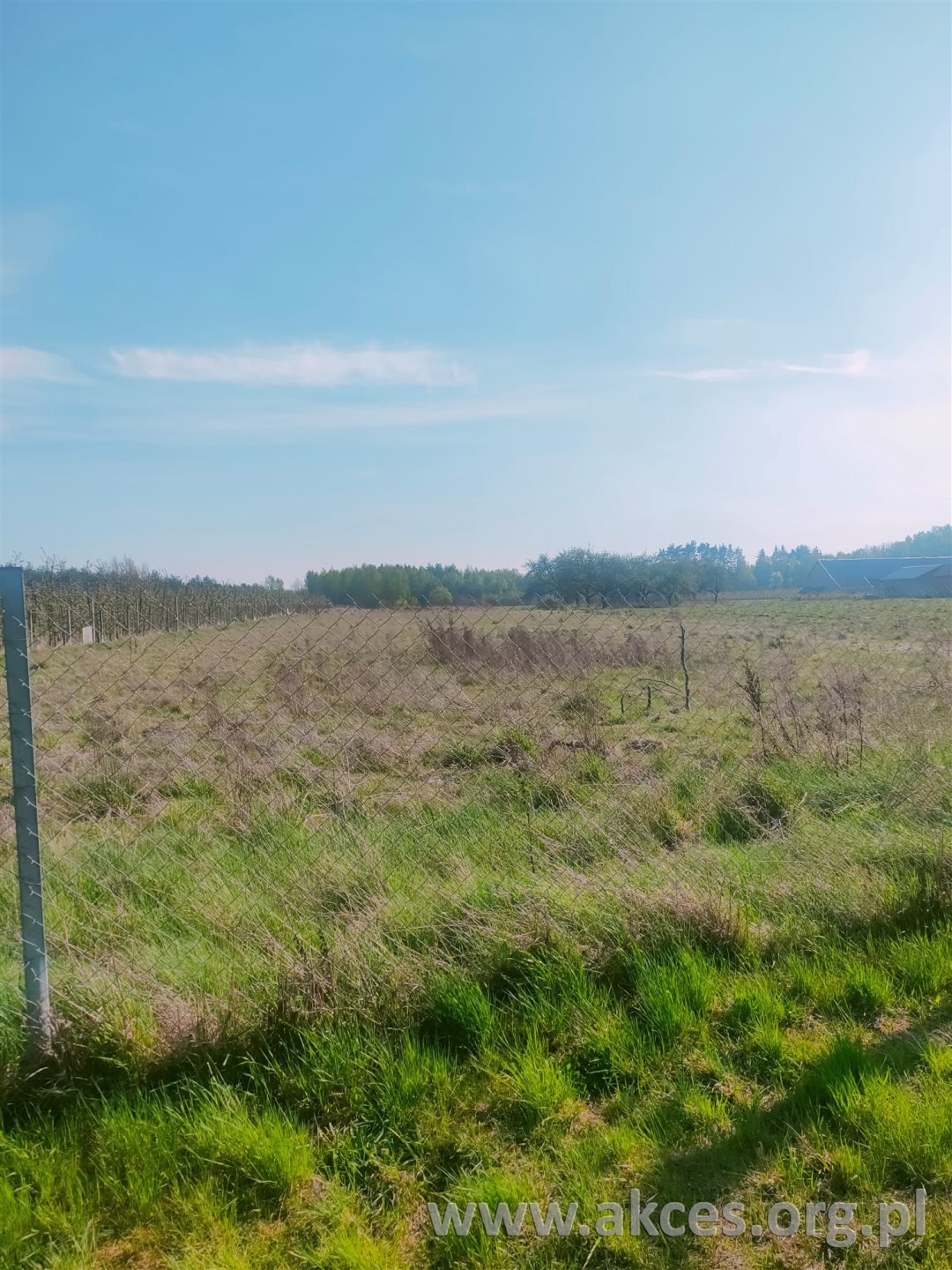 Działka rolna 10 035 m² z prądem przy głównej ulicy. Suchostruga, 3 Maja  10 035m2 Foto 1