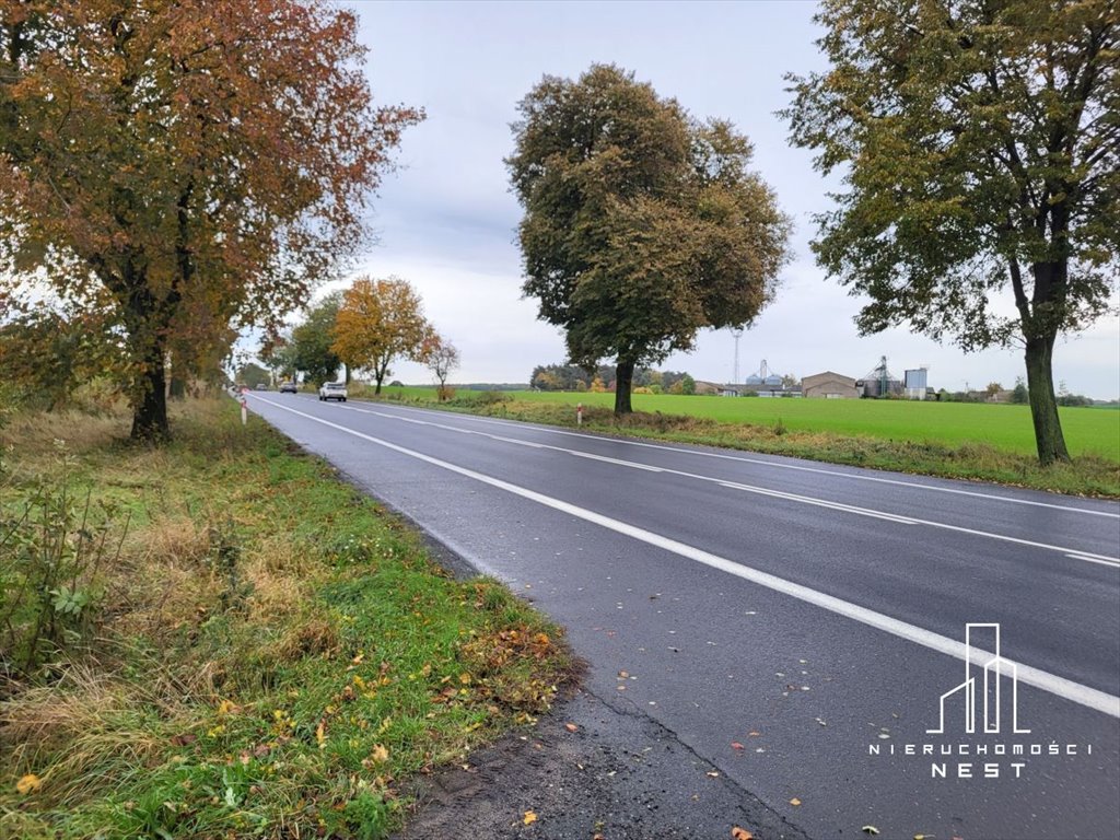 Działka przemysłowo-handlowa na sprzedaż Sękowo, Sękowo działka AG  40 000m2 Foto 10