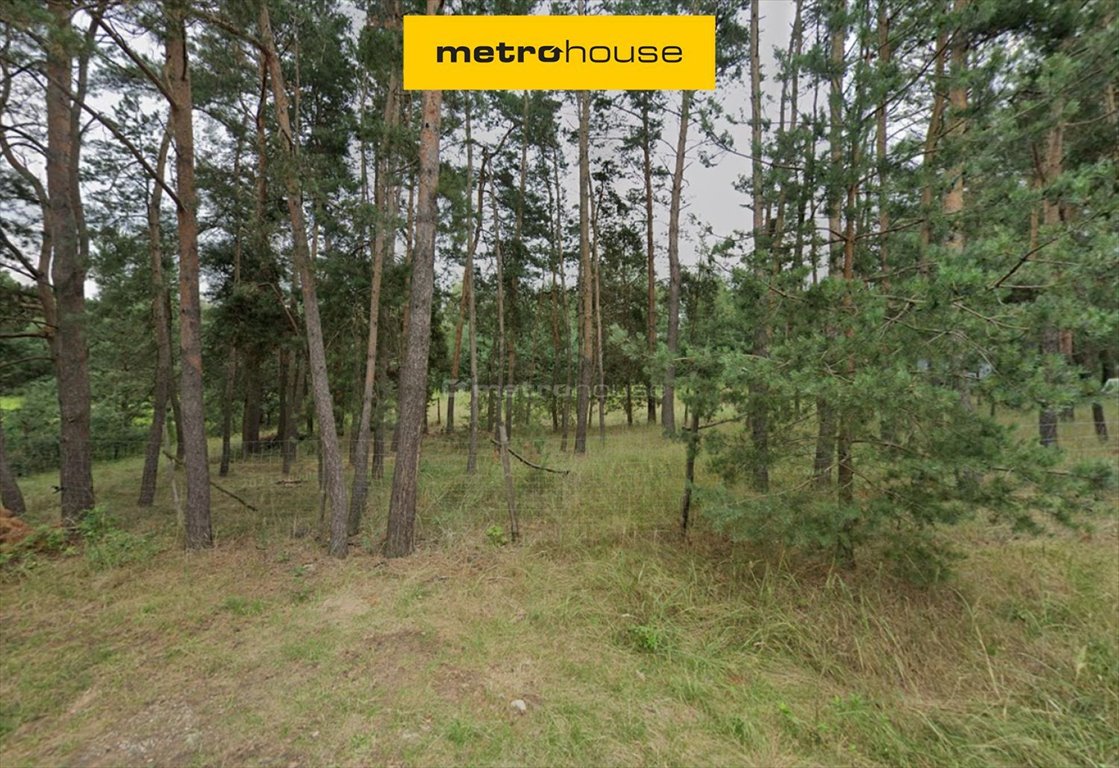 Działka leśna na sprzedaż Glinnik  3 100m2 Foto 1