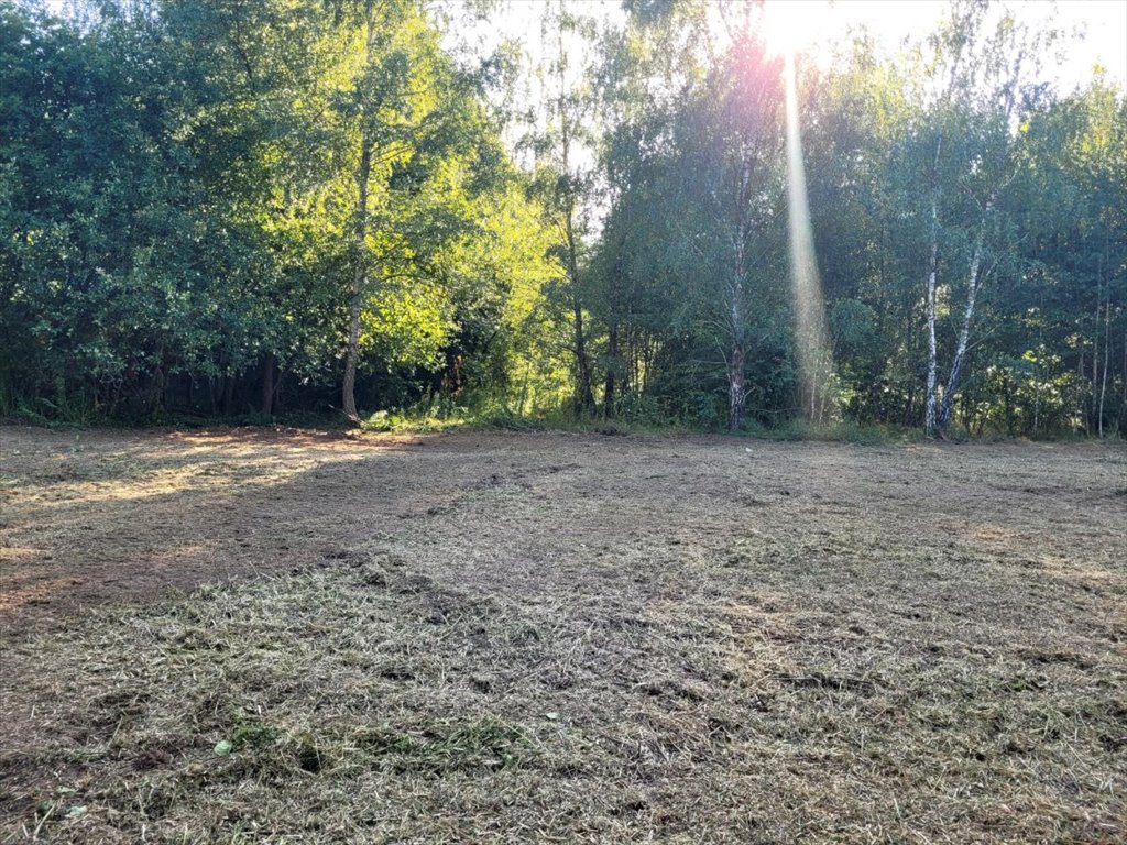 Działka budowlana na sprzedaż Kazuń-Bielany  1 000m2 Foto 5