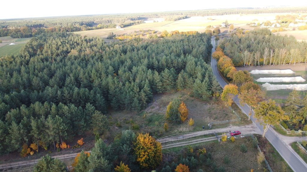 Działka budowlana na sprzedaż Nowy Jasiniec  4 347m2 Foto 5