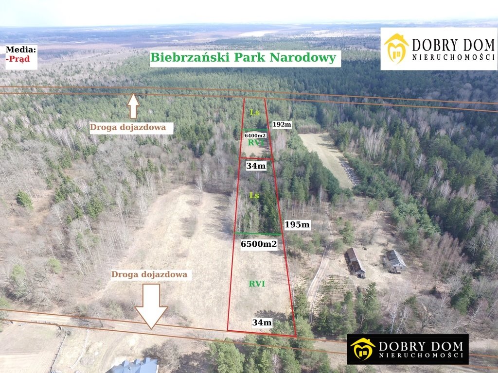 Działka 6400 m² w lesie, idealna na wypoczynek Trzyrzeczki  6 400m2 Foto 1