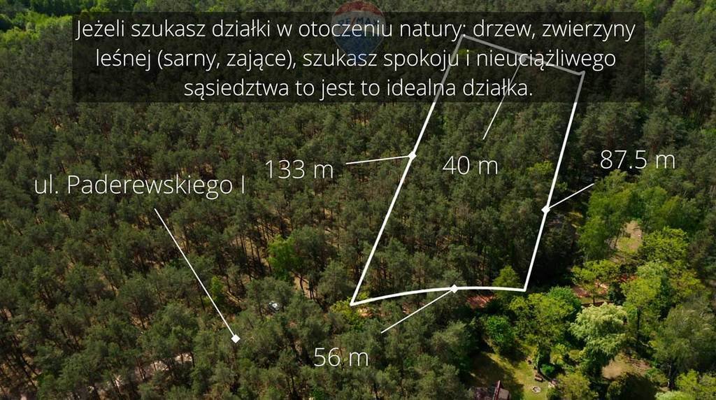 Działka leśna z prawem budowy na sprzedaż Rynia, Ignacego Paderewskiego  4 461m2 Foto 2