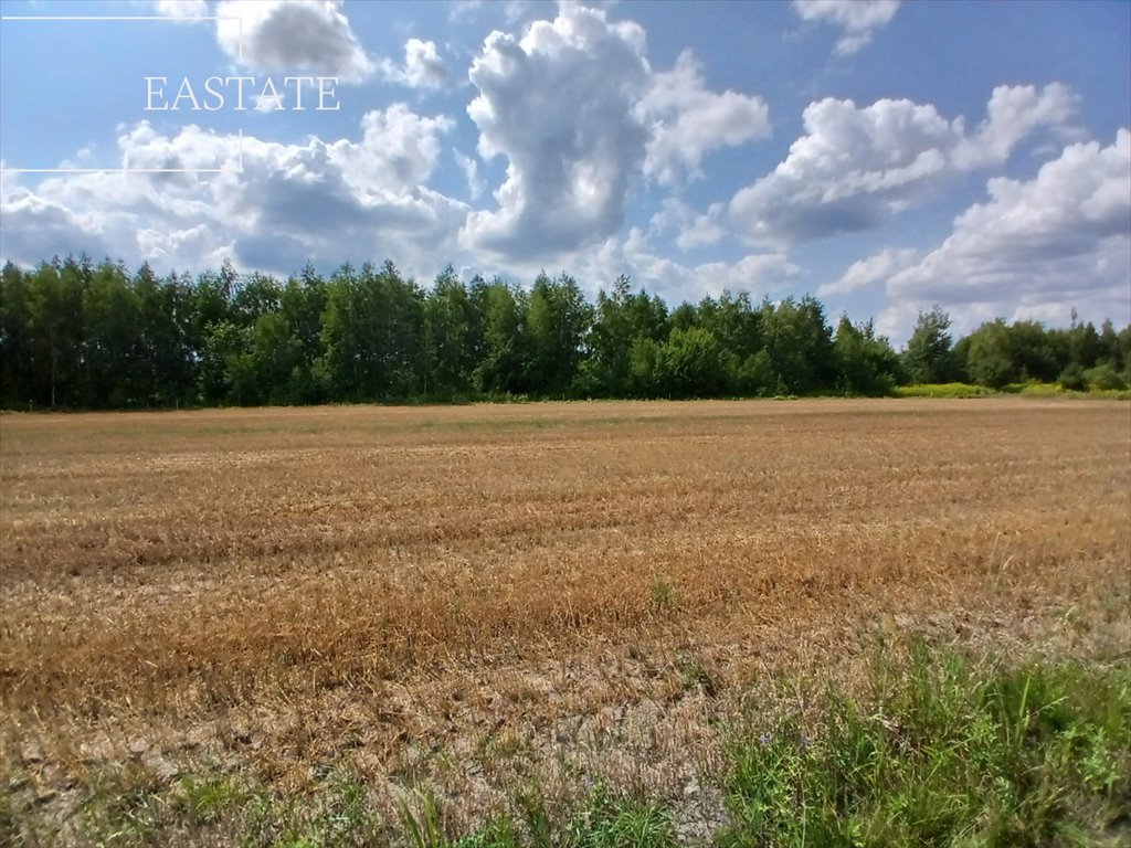 Działka budowlana na sprzedaż Krze Duże  5 700m2 Foto 4