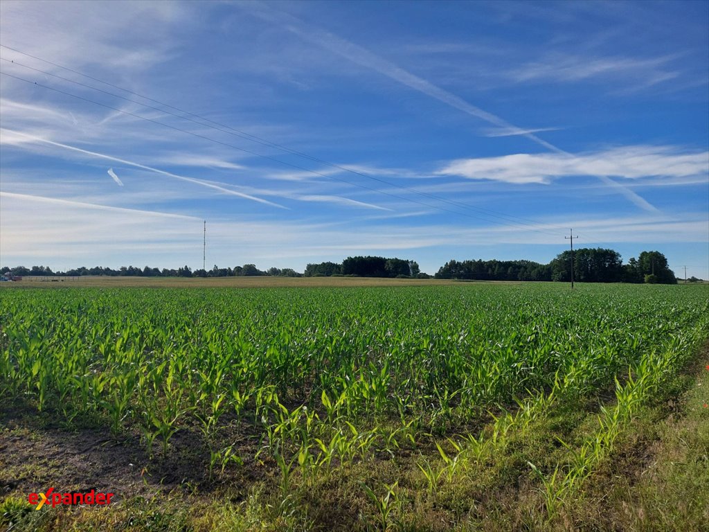 Zapraszam do zakupu działki 1071 m² w Hucie Palędzkiej Huta Palędzka, 16  1 071m2 Foto 1