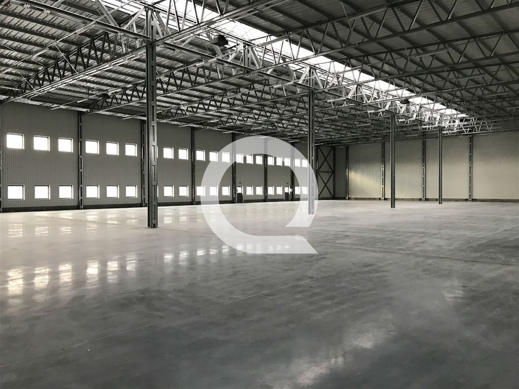 Lokal użytkowy na wynajem Gdańsk, Rudniki 2 290m2 Foto 1 Lokal użytkowy na wynajem Gdańsk, Rudniki 2 290m2 Foto 1