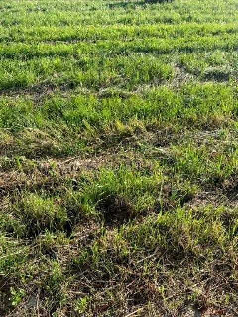 Działka budowlana na sprzedaż Sianożęty, Sianożęty  500m2 Foto 1