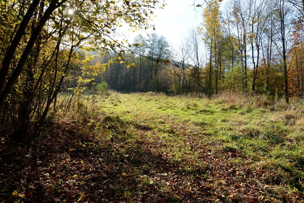 Działka budowlana na sprzedaż Ponikiew  2 846m2 Foto 11