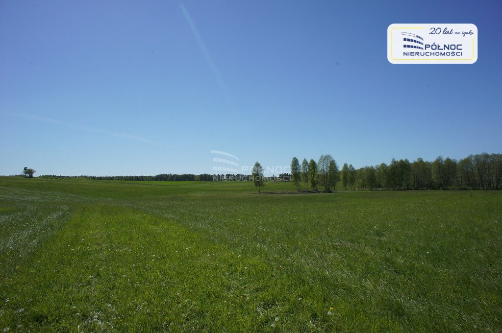 Działka siedliskowa na sprzedaż Strzelniki  97 500m2 Foto 11