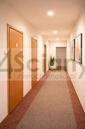 Zdjęcie 8