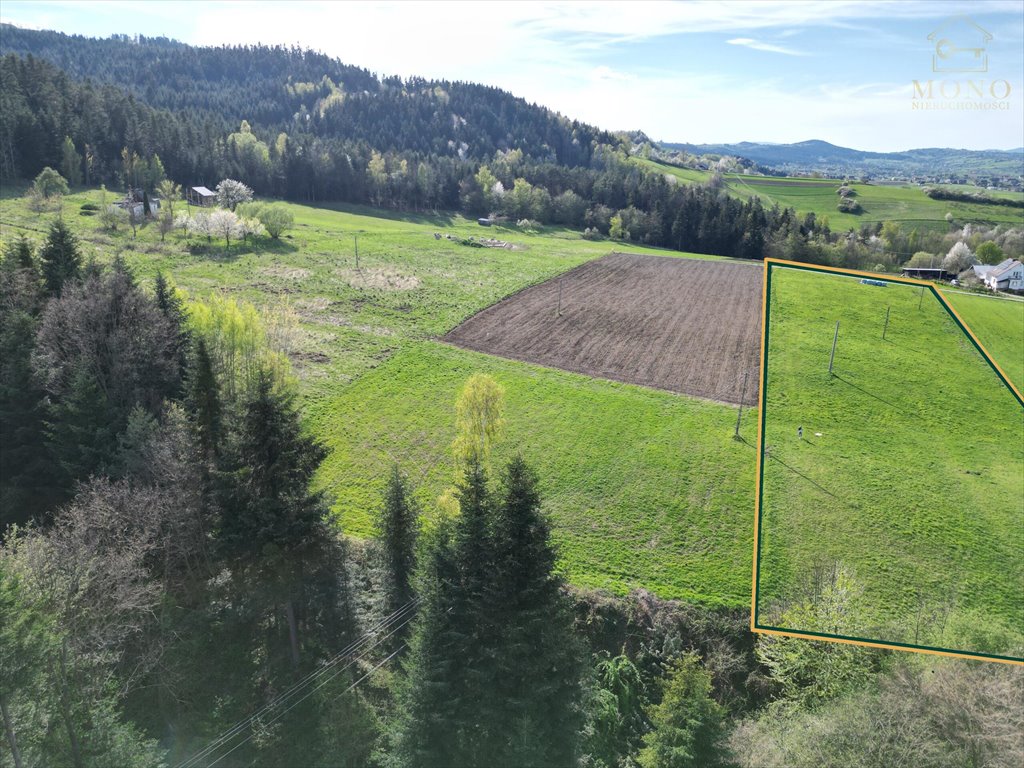 Działka rolna na sprzedaż Krasne Potockie  8 200m2 Foto 5