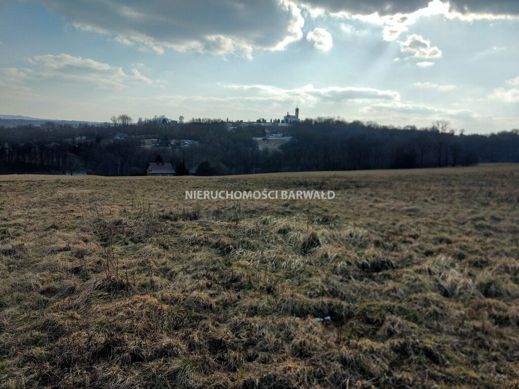 Działka rolna na sprzedaż Podolany  32 800m2 Foto 3