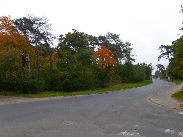 Działka budowlana na sprzedaż Otwock, Bolesława Chrobrego 4 732m2 Foto 1 Działka budowlana na sprzedaż Otwock, Bolesława Chrobrego 4 732m2 Foto 1
