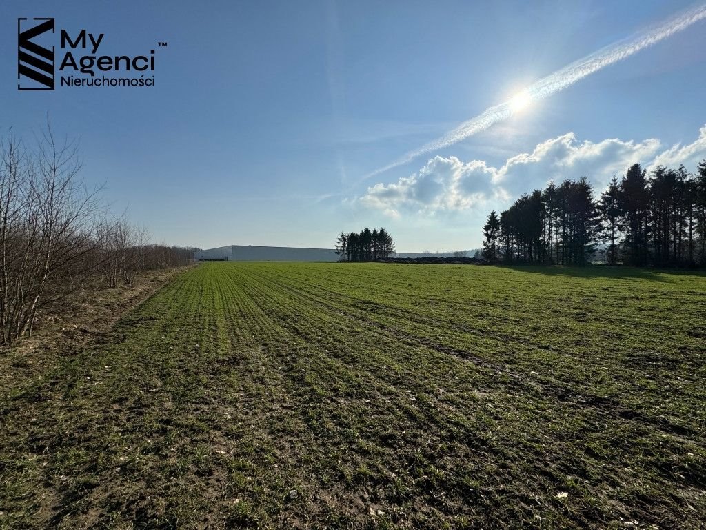 Działka przemysłowo-handlowa na sprzedaż Gdańsk, Kokoszki, Bysewska  19 493m2 Foto 13