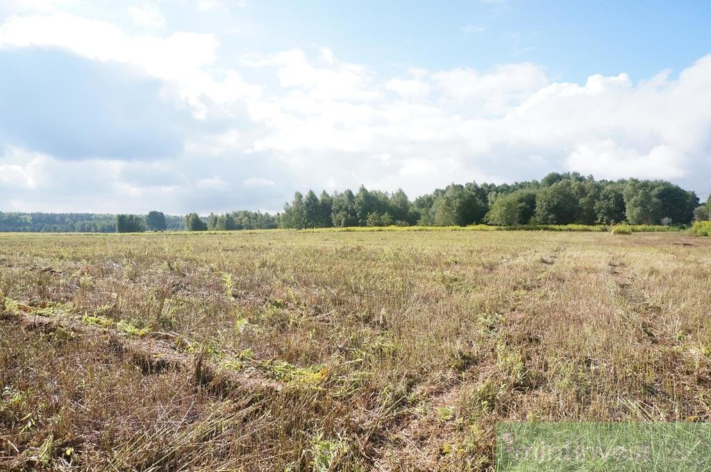 Działka budowlana na sprzedaż Żółwia Błoć  3 008m2 Foto 6