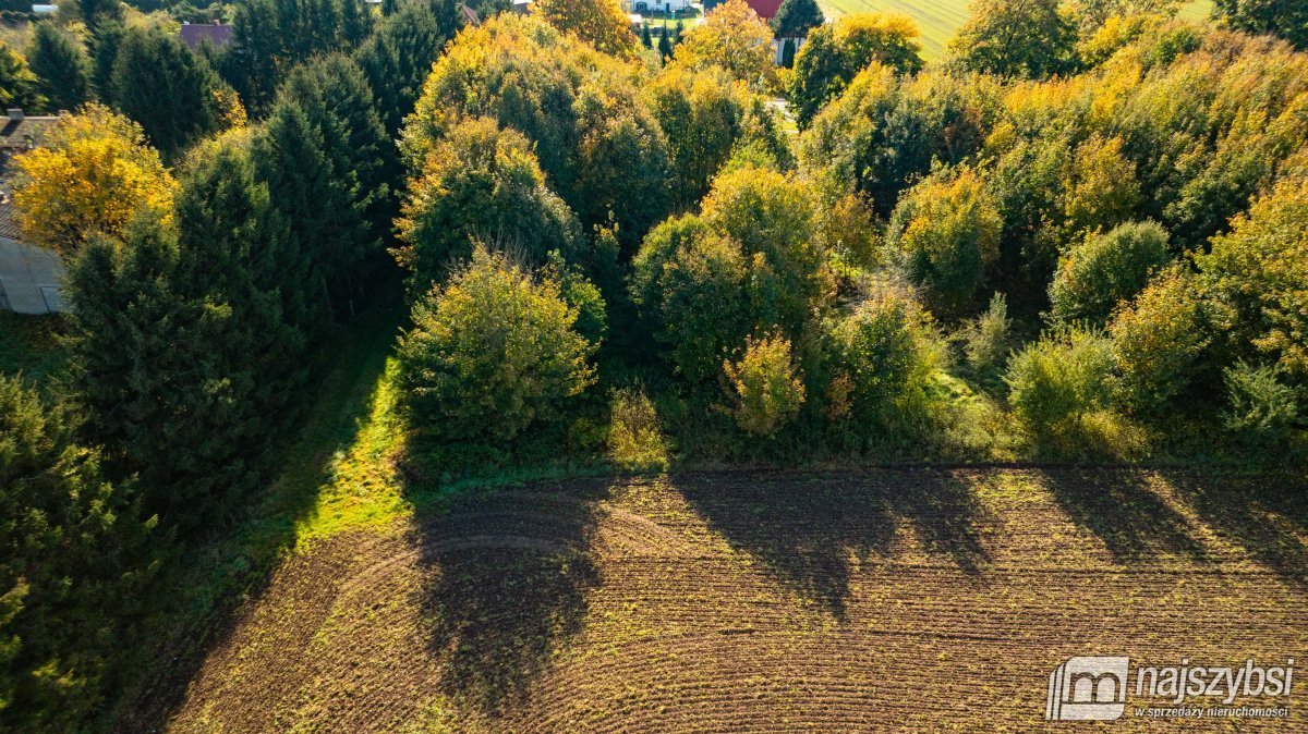 Działka rolna na sprzedaż Brojce, obrzeża  4 100m2 Foto 8